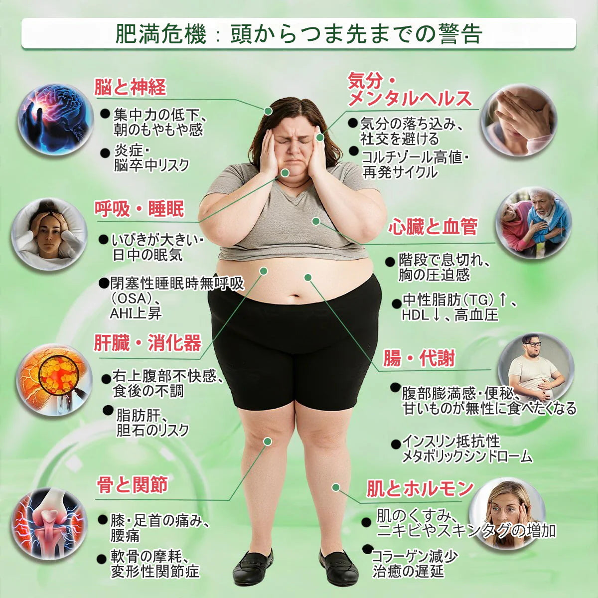 🇯🇵 公式オンラインショップ | 💯𝐀𝐌𝐙𝐊𝐄𝐄𝐏® モリンガ・ベルベリン×NAD+ 10-in-1 ダイエットパッチ（即効性、わずか7日間で効果を実感） ✅ 減量、たるんだ肌の引き締め、血糖値ケア、睡眠時の呼吸サポート、関節の悩みの改善に