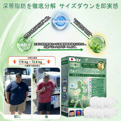 🇯🇵 公式オンラインショップ | 💯𝐀𝐌𝐙𝐊𝐄𝐄𝐏® モリンガ・ベルベリン×NAD+ 10-in-1 ダイエットパッチ（即効性、わずか7日間で効果を実感） ✅ 減量、たるんだ肌の引き締め、血糖値ケア、睡眠時の呼吸サポート、関節の悩みの改善に